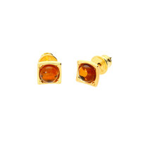 Joli Beau Silver & Gold Plate Square Baltic Cognac Amber Stud Earrings