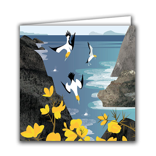 Joli Beau 'Diving Gannets' Designed In The UK Blank Printed Greeting Card 🇬🇧