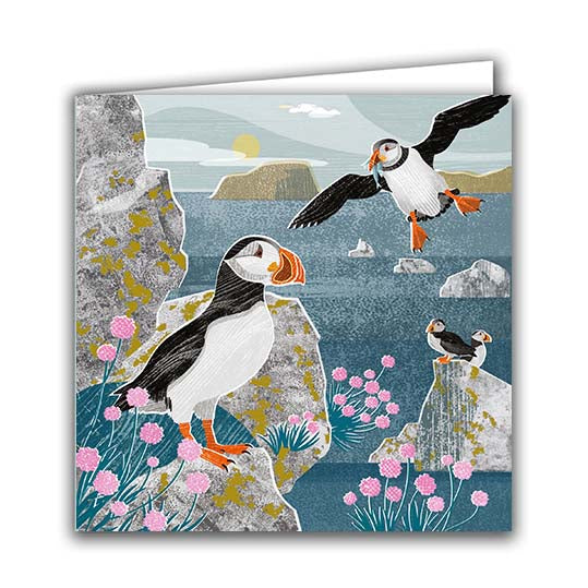 Designed In The UK  Blank Greeting Card Puffins On Cliff