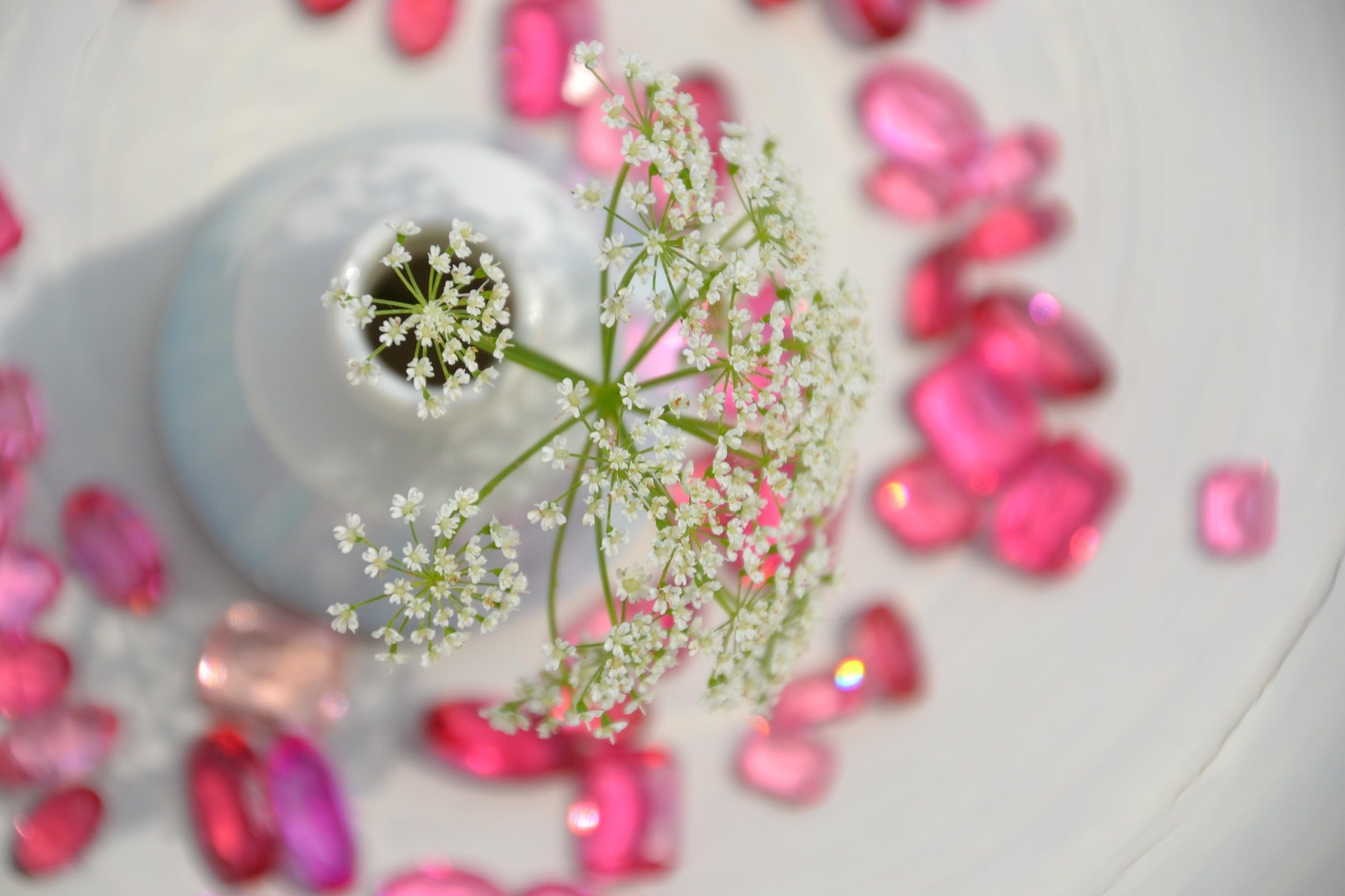 Small white flower in a gray vase surrounded by pink and red gemstones on a light background
