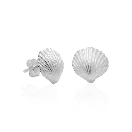 Sterling Silver Cockle Shell Small Studs