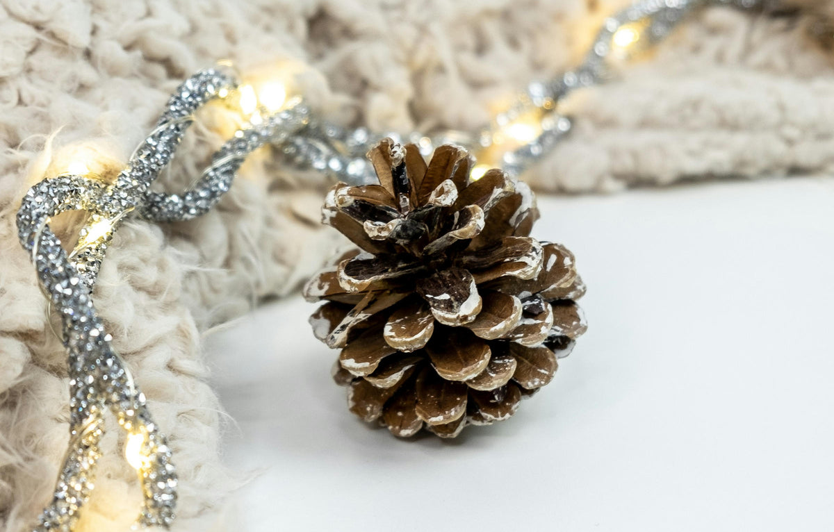 A pine cone on a white background with sparkling lights and wool fabric  